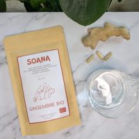 gingembre en gelules bio
